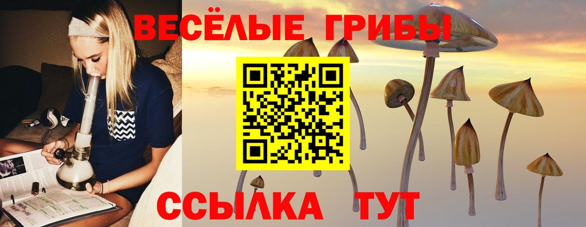 Галлюциногенные грибы Psilocybine cubensis Десногорск