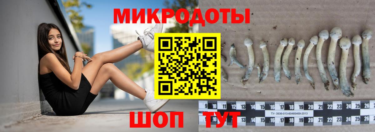 где купить наркотик  Вход с VPN  Десногорск  Псилоцибиновые грибы ЛСД 
